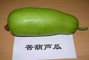 吃瓜中毒吐血,揭秘食品安全背后的惊悚真相