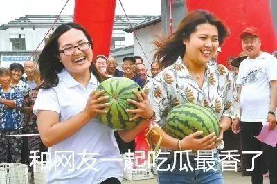 兴致吃瓜,跟随兴致畅游吃瓜盛宴