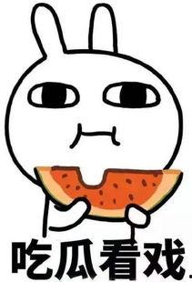 吃瓜看戏打架,揭秘娱乐圈幕后风云