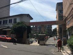 吃瓜比赛成都小区,邻里欢乐竞技，共享社区和谐时光