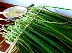 韭菜能喝朋瓜吃
